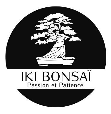IKI Bonsai
